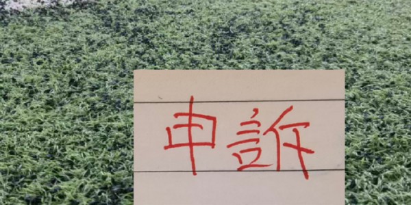 虎扑电竞登录入口-还申诉吗？ 北京国安之前山东申诉成功 成都申诉失败！|山东队|中超|山东泰山|津门虎|沈寅豪_新浪体育_新浪新闻